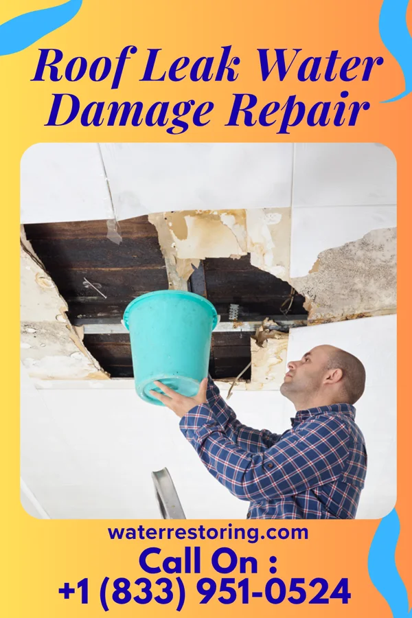 Roof Leak Water Damage Repair in Chain-O-Lakes, MO